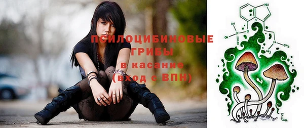 первитин Надым