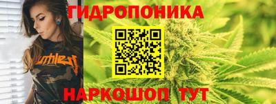 Альфа ПВП Дубна