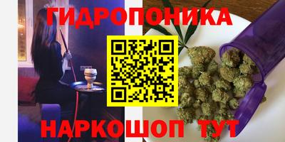 ГАЛЛЮЦИНОГЕННЫЕ ГРИБЫ Донской