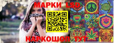 Альфа ПВП Дубна