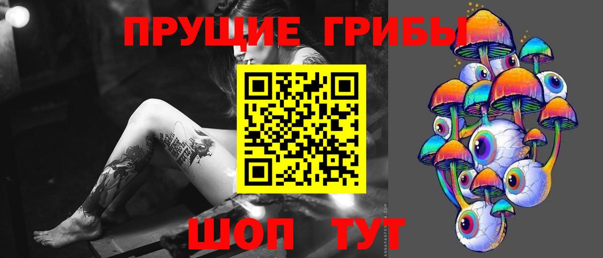 Псилоцибиновые грибы мицелий  Тюмень 