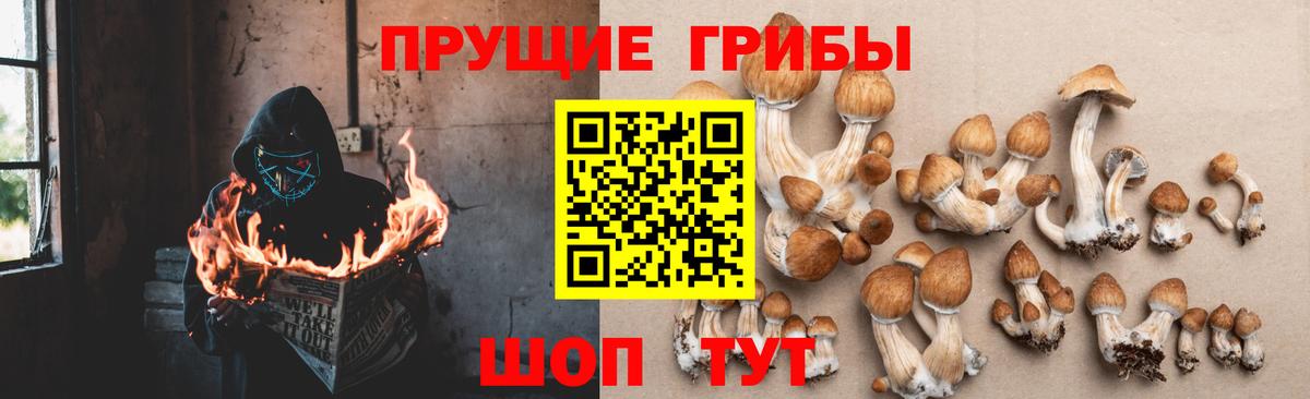 Галлюциногенные грибы прущие грибы Тюмень